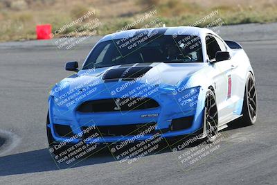 media/Nov-19-2023-Extreme Speed (Sun) [[bd0eec5490]]/Blue/Head On/